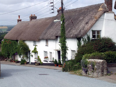 Thatches in the village